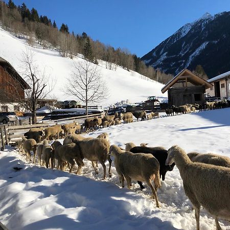 Willa Auerhof Schladming Zewnętrze zdjęcie