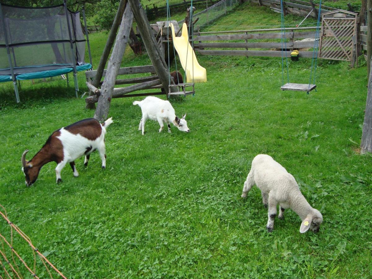 Willa Auerhof Schladming Zewnętrze zdjęcie