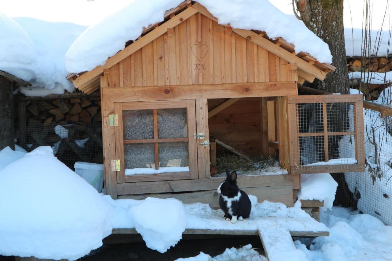 Willa Auerhof Schladming Zewnętrze zdjęcie
