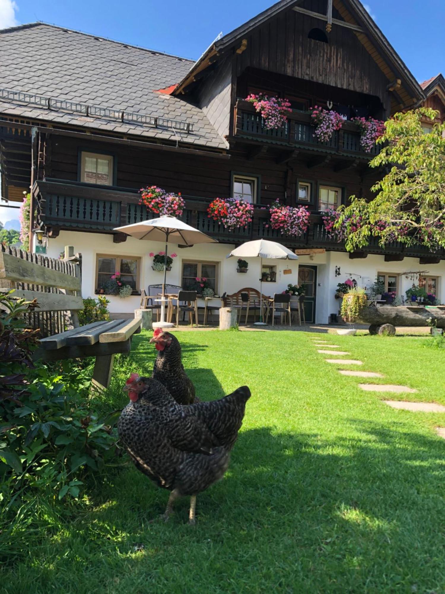 Willa Auerhof Schladming Zewnętrze zdjęcie